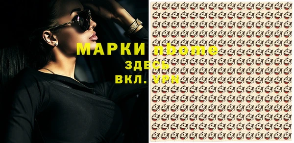сатива Костерёво