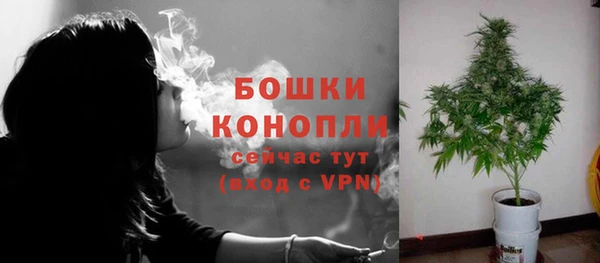 сатива Костерёво