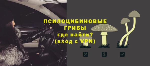 крисы Красноперекопск