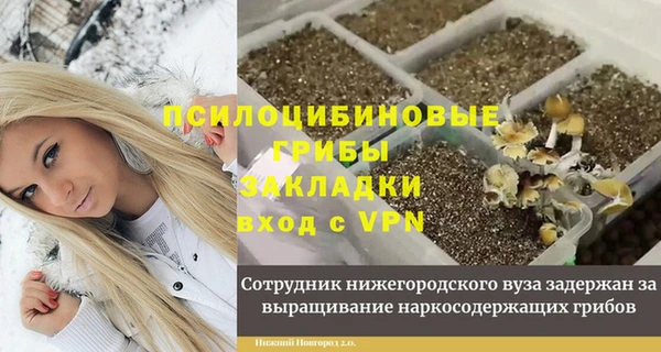 MESCALINE Корсаков