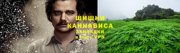 сатива Костерёво