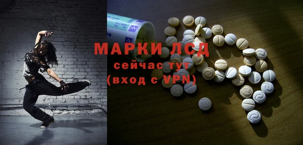 сатива Костерёво