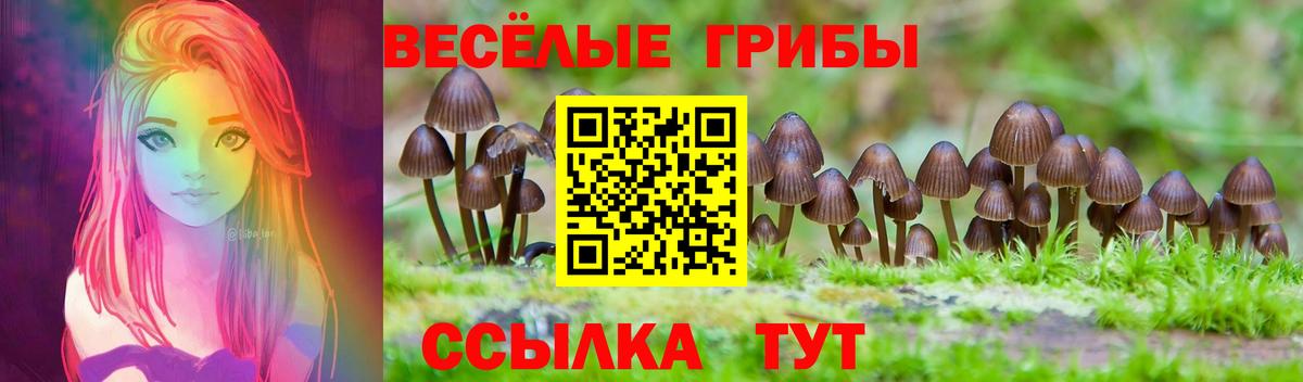 Галлюциногенные грибы мицелий  Вход с VPN  Элиста 