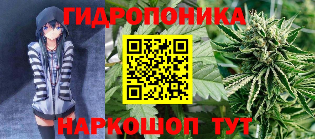 Каннабис индика Элиста